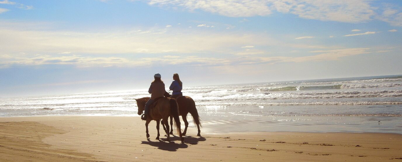 beach_horseback_ride_and_san_francisco_city_tour