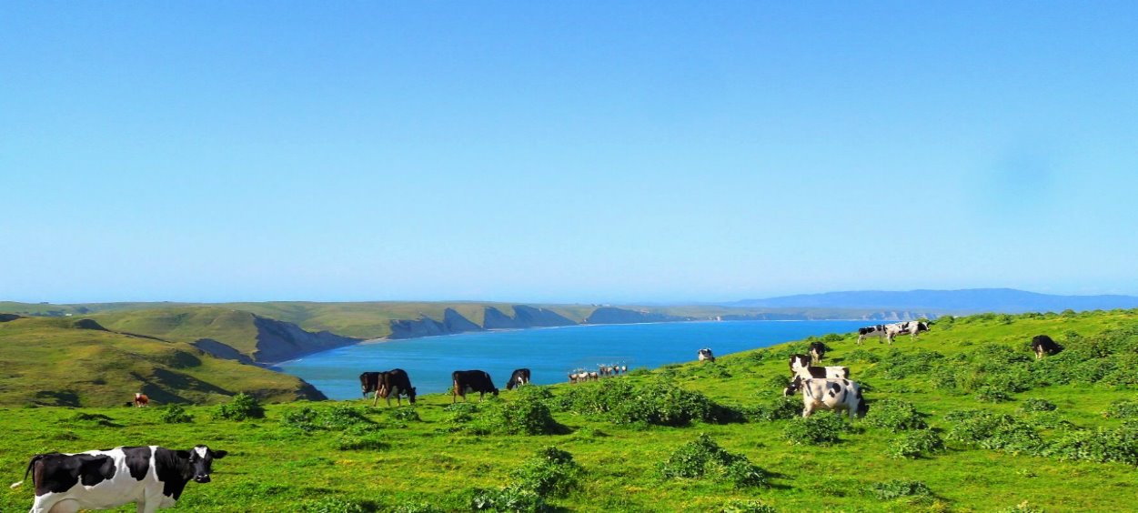 Point-Reyes-National-Seashore-Things-to-See