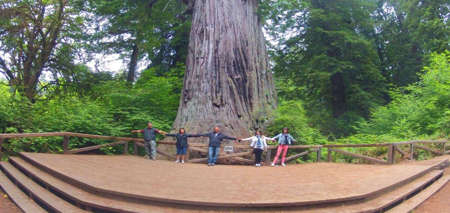 Redwood-National-Park-Travel-Guide