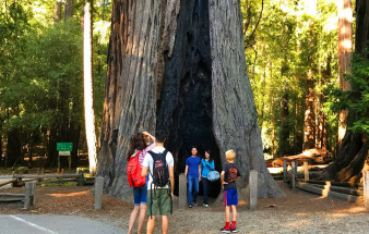 big_basin_redwoods_state_park_tours_from_san_francisco