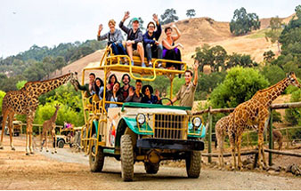 book_african_safari_tours_personalized_adventures