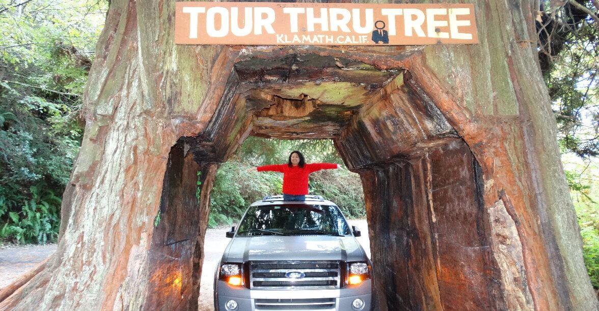 drive-through-big-redwood-tree-drive-thru-giant-sequoia