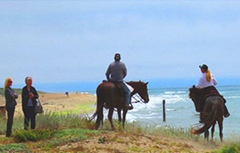 horseback_ride_on_the_beach_santa_cruz_tours
