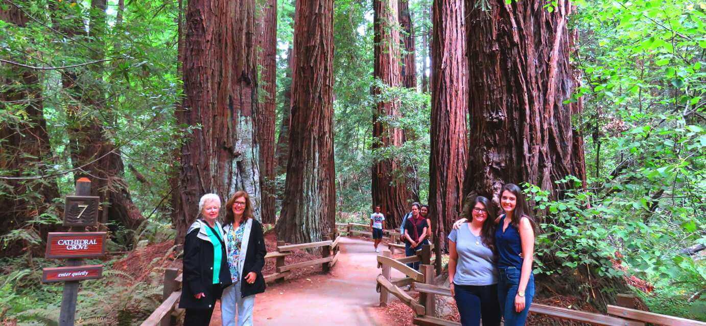 how_to_visit_muir_woods_by_shutte_car_and_bike