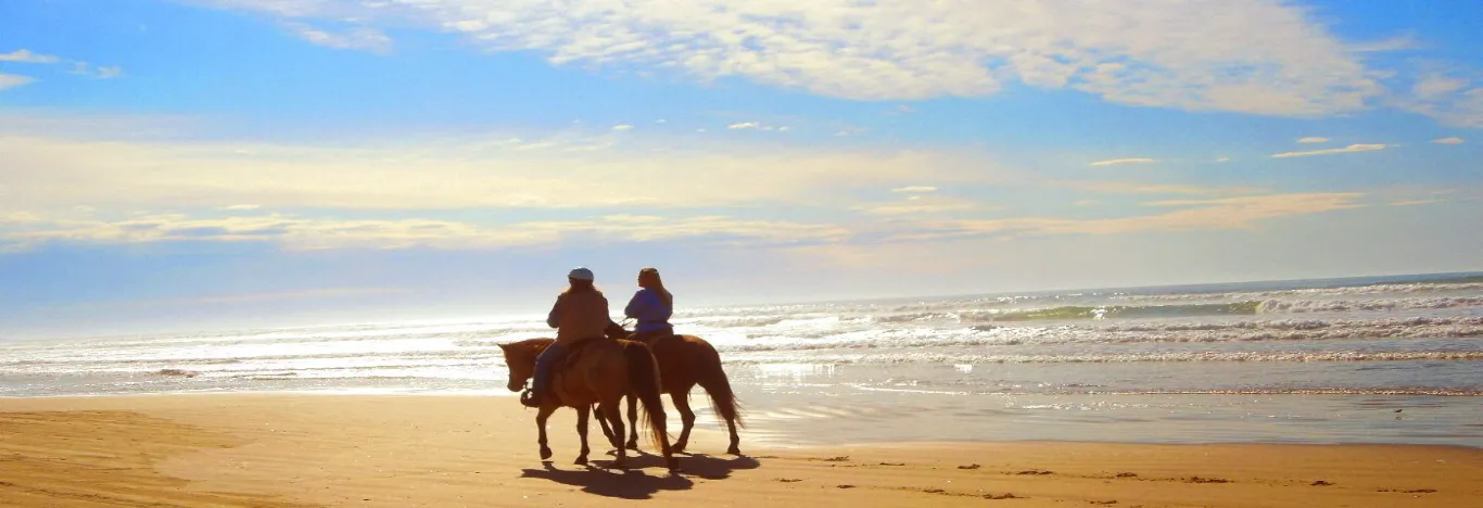 los-mejores-paseos-a-caballo-en-la-playa-y-lecciones-banner