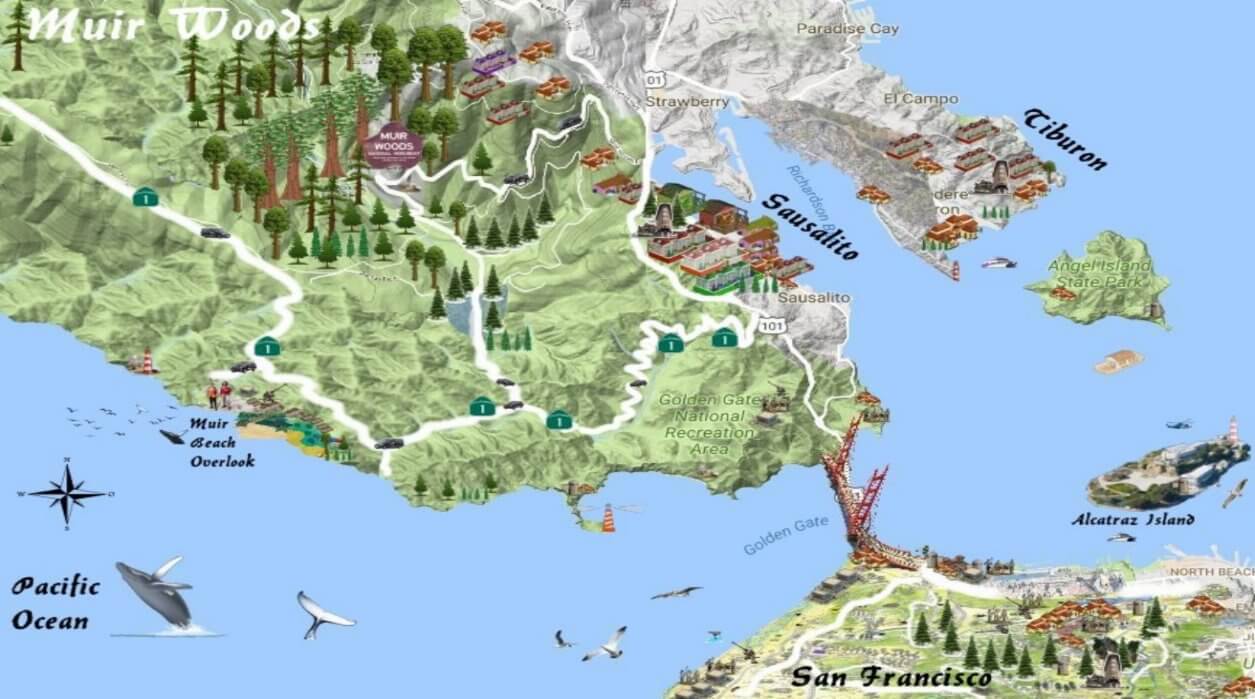 map_of_muir_woods_road_itinerary_from_alcatraz