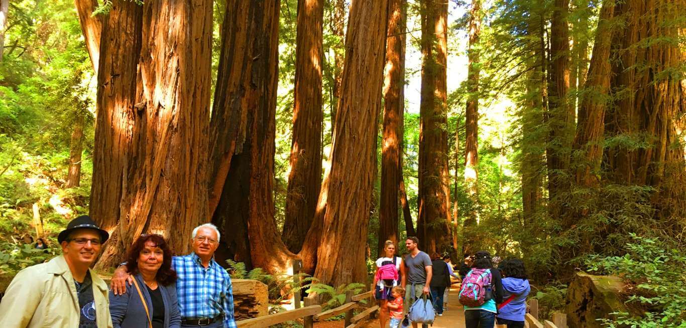 muir_woods_how_to_see_the_big_trees_near_san_francisco
