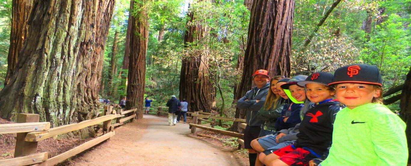muir_woods_park_giant_redwood_trees_private_custom_tour_from_san_francisco
