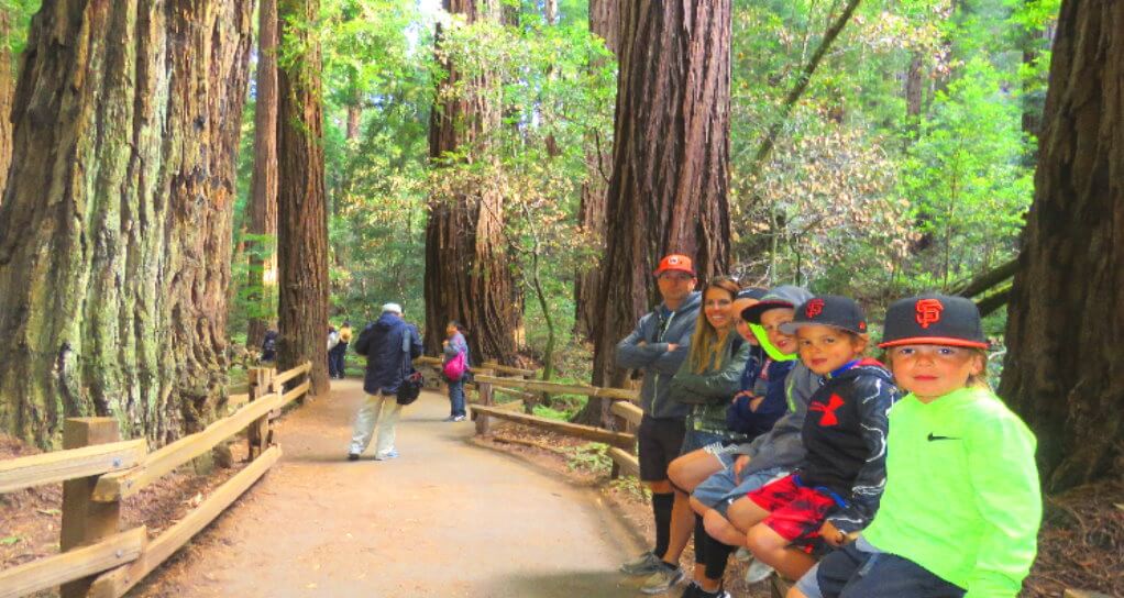 muir_woods_park_of_redwoods_private_tour_from_san_francisco_family_friendly_attractions