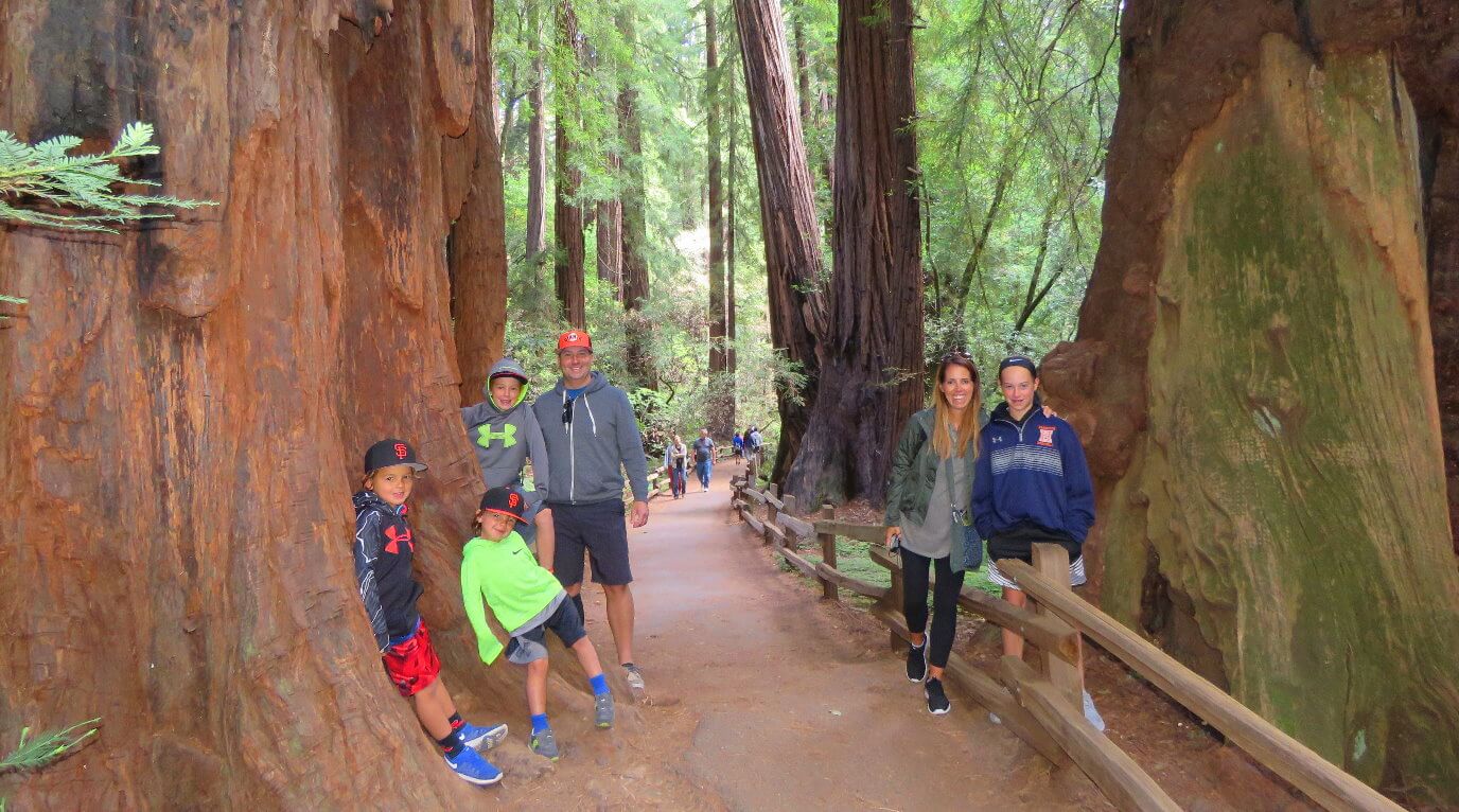muir_woods_wine_tour_napa_or_sonoma_valley