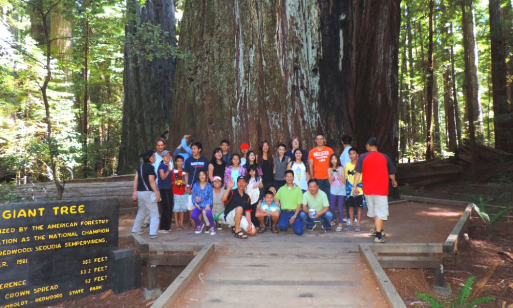 must-see-places-in-northern-california-oregon-tours-ave-giant-redwoods