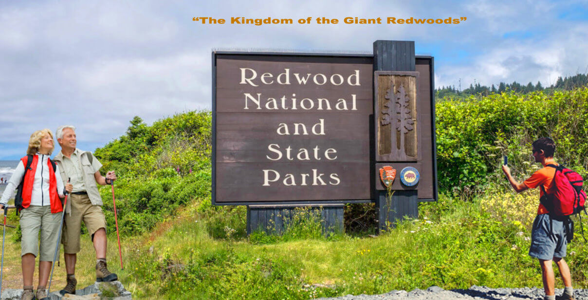plan-your-visit-redwood-national-san-francisco-vacation-deals