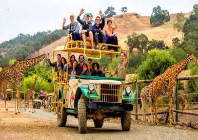 safari_jeep_adventure_redwoods_napa_wine_tour