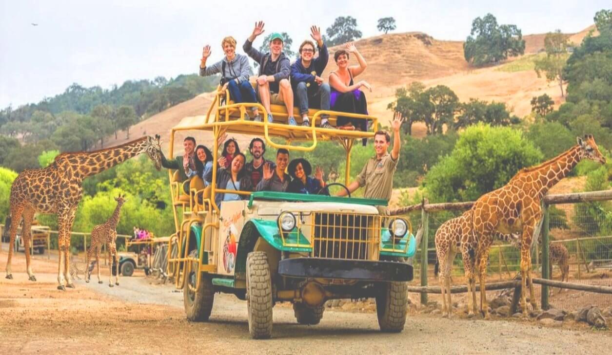 safari_park_jeep_tour_&_wine