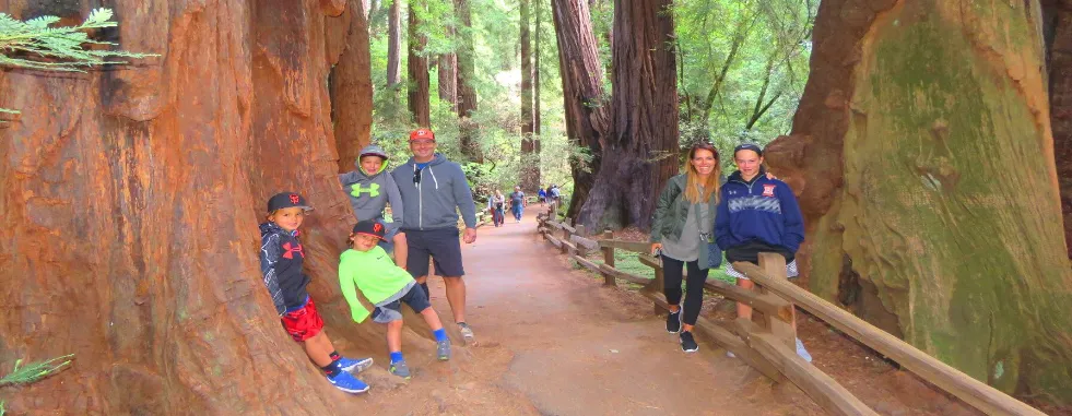 tips_for_taking_a_muir_woods_redwoods_tour_with_kids_from_san_francisco-gallery