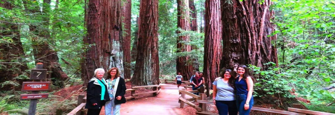 visit-muir-woods-national-monument-u-s-national-park-service-banner